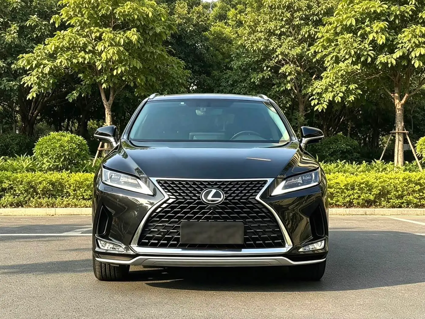 Lexus RX 2020 — Photo 2/9