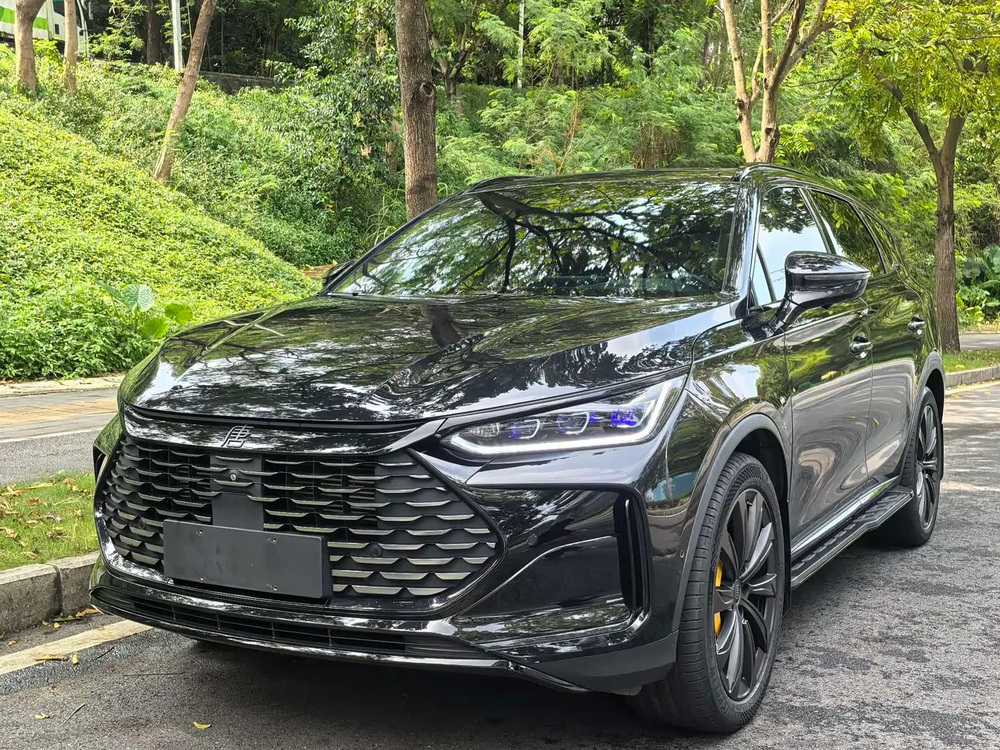 BYD Tang New Energy, 2023