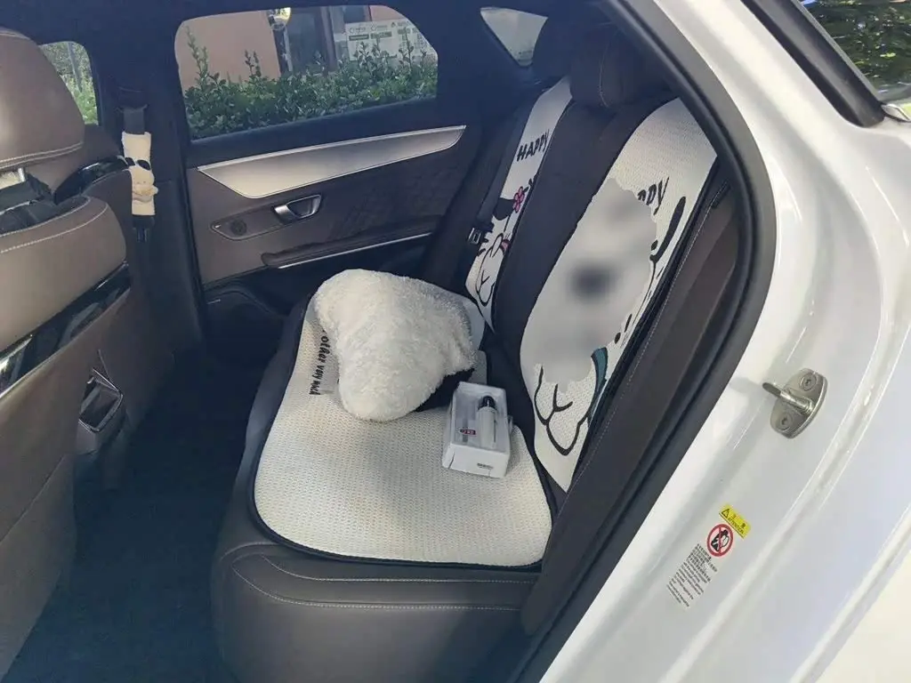 BYD Han 2022 — Photo 13/16
