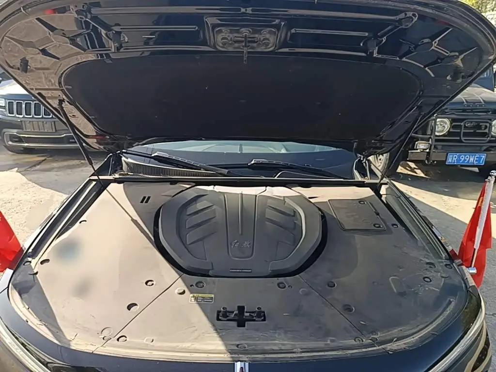 Hongqi H9 2022 — Photo 19/19