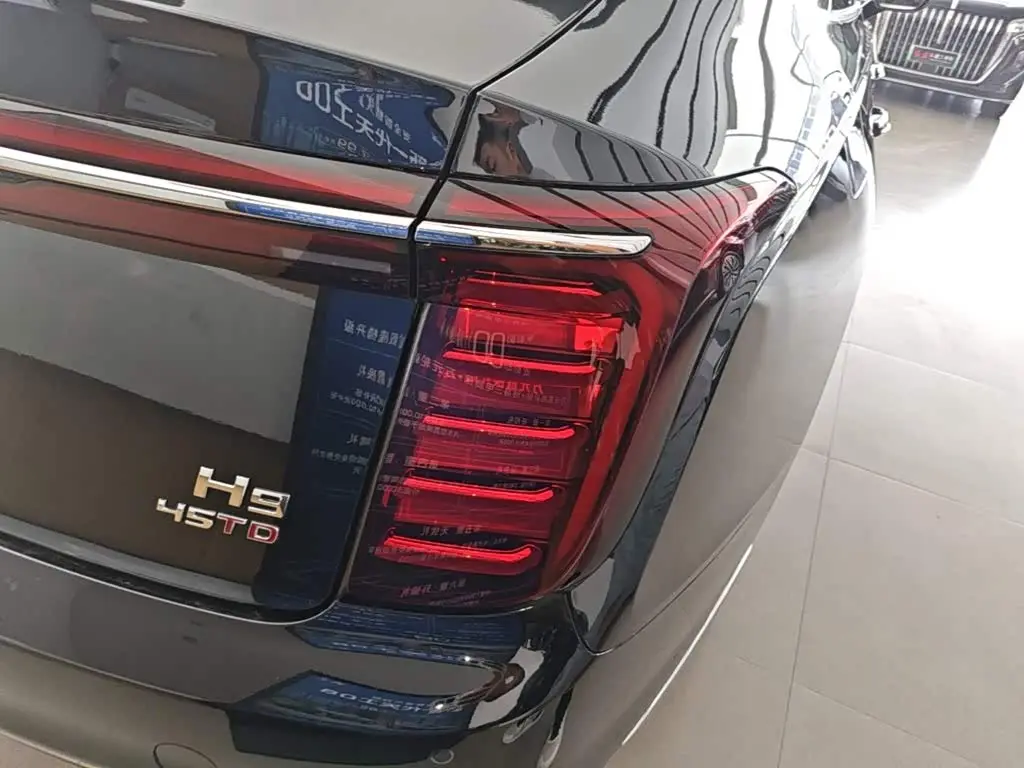 Hongqi H9 2025 — Photo 8/20