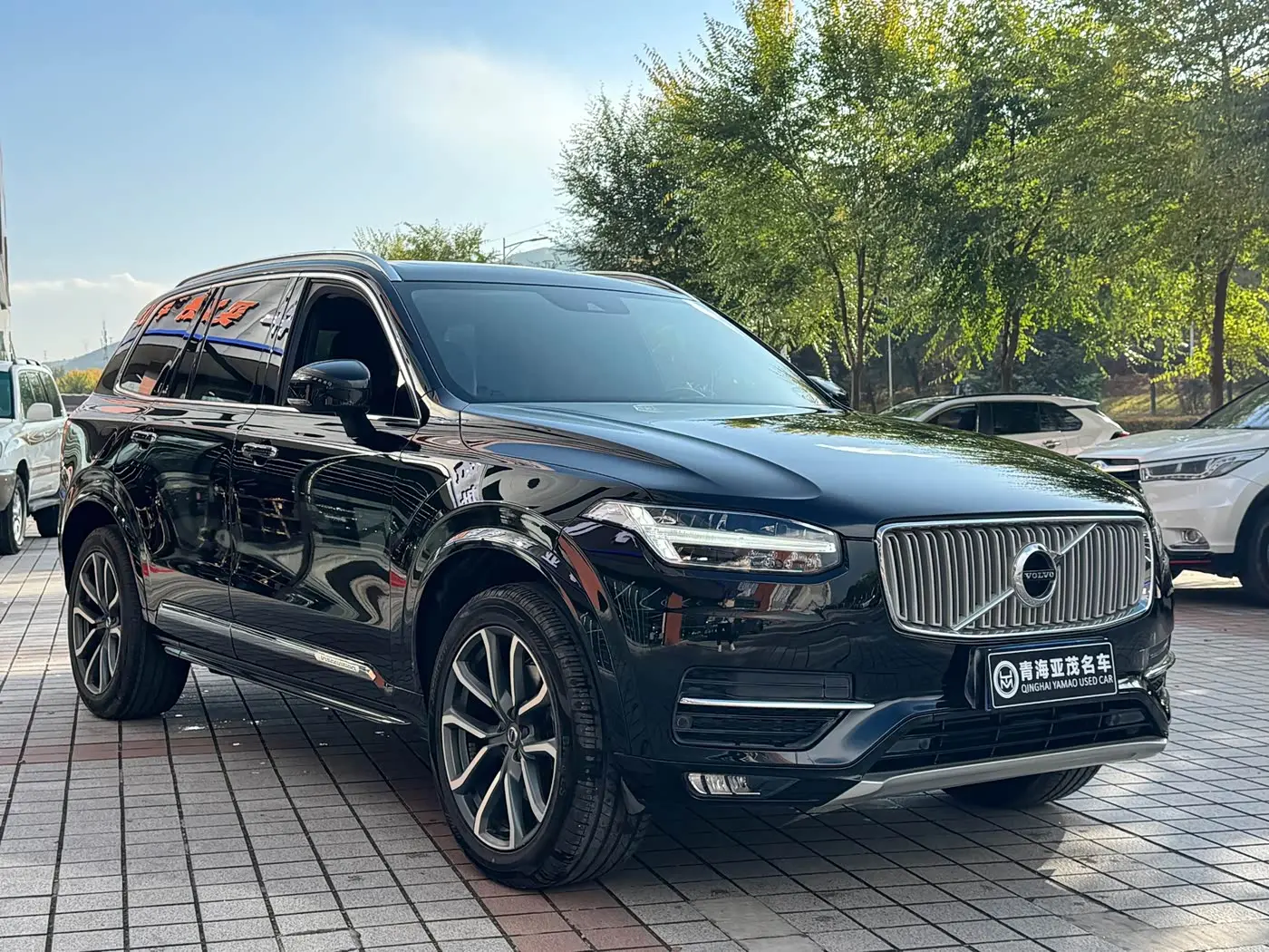 Volvo XC90 2019 — Photo 3/20