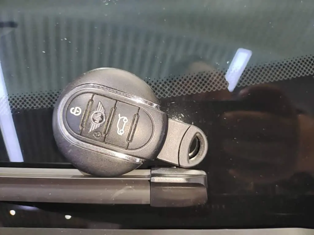 MINI MINI 2020 — Photo 9/20