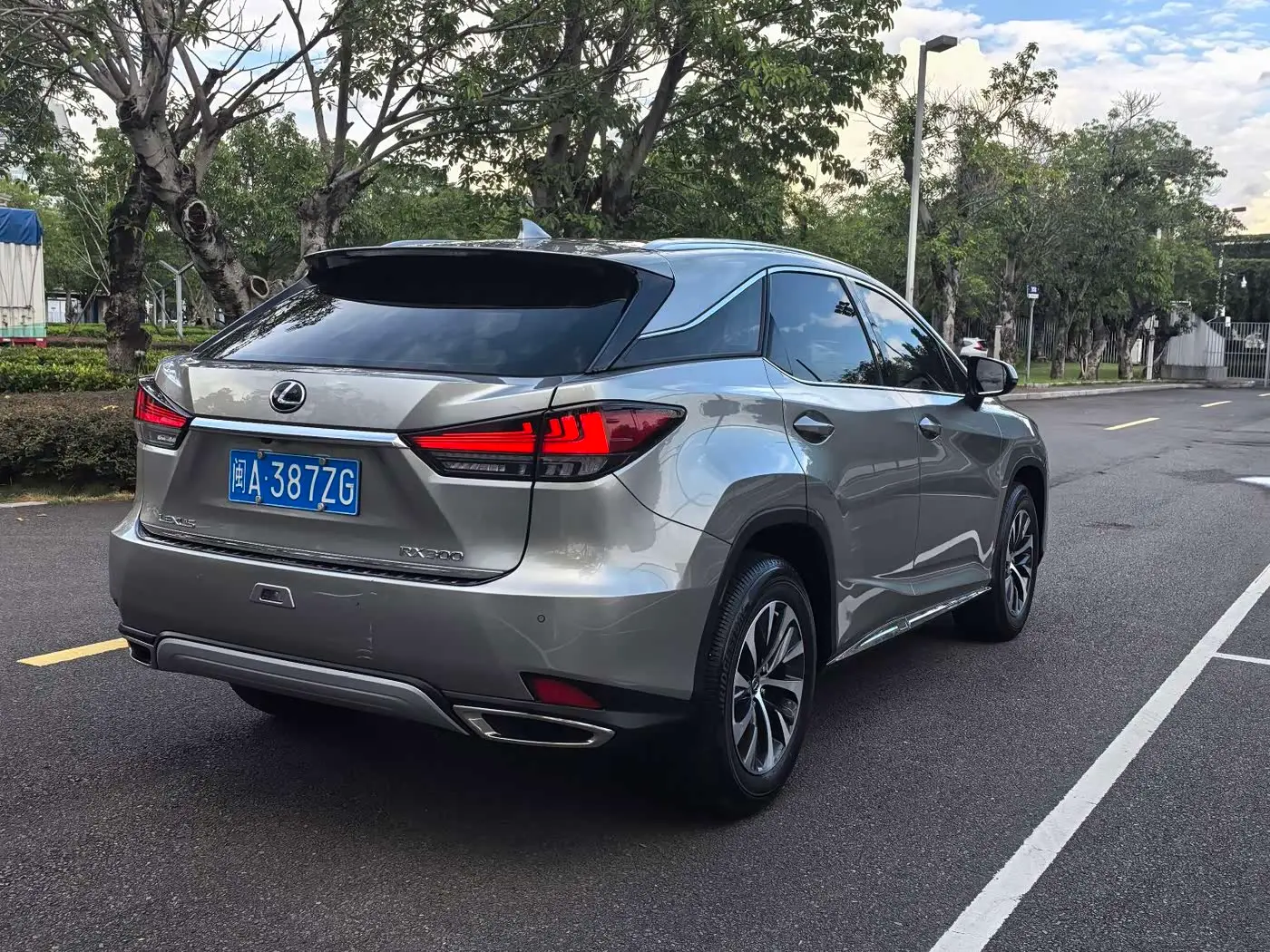 Lexus RX 2022 — ფოტო 6/16