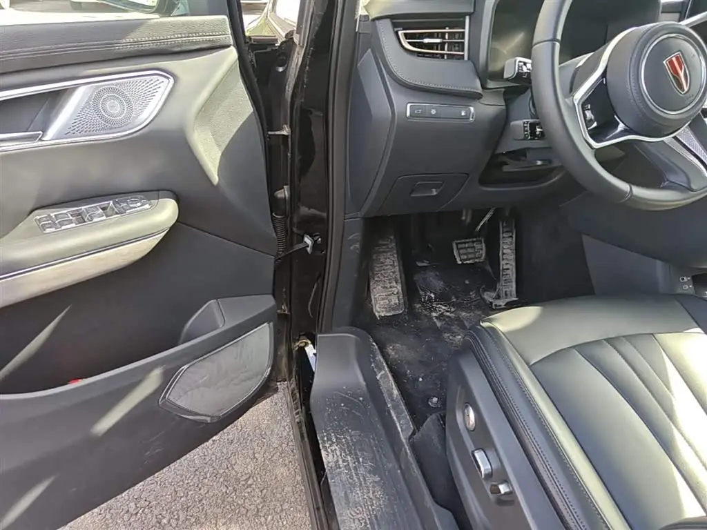 Hongqi HQ9 PHEV 2024 — Photo 16/20