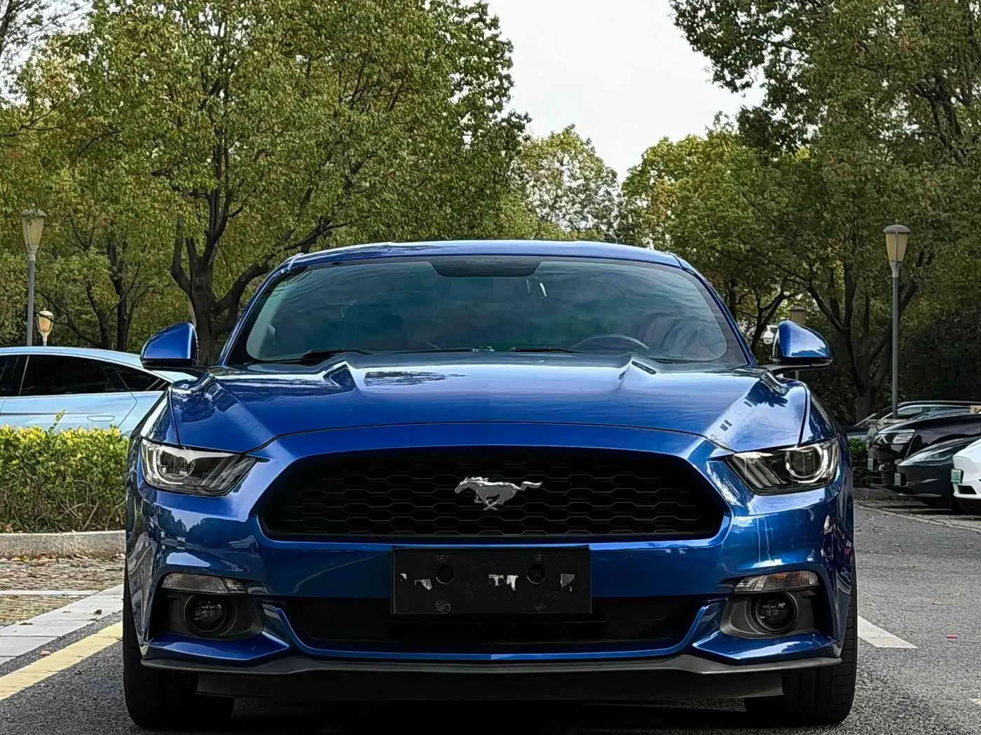 Ford Mustang 2017 — Photo 2/15