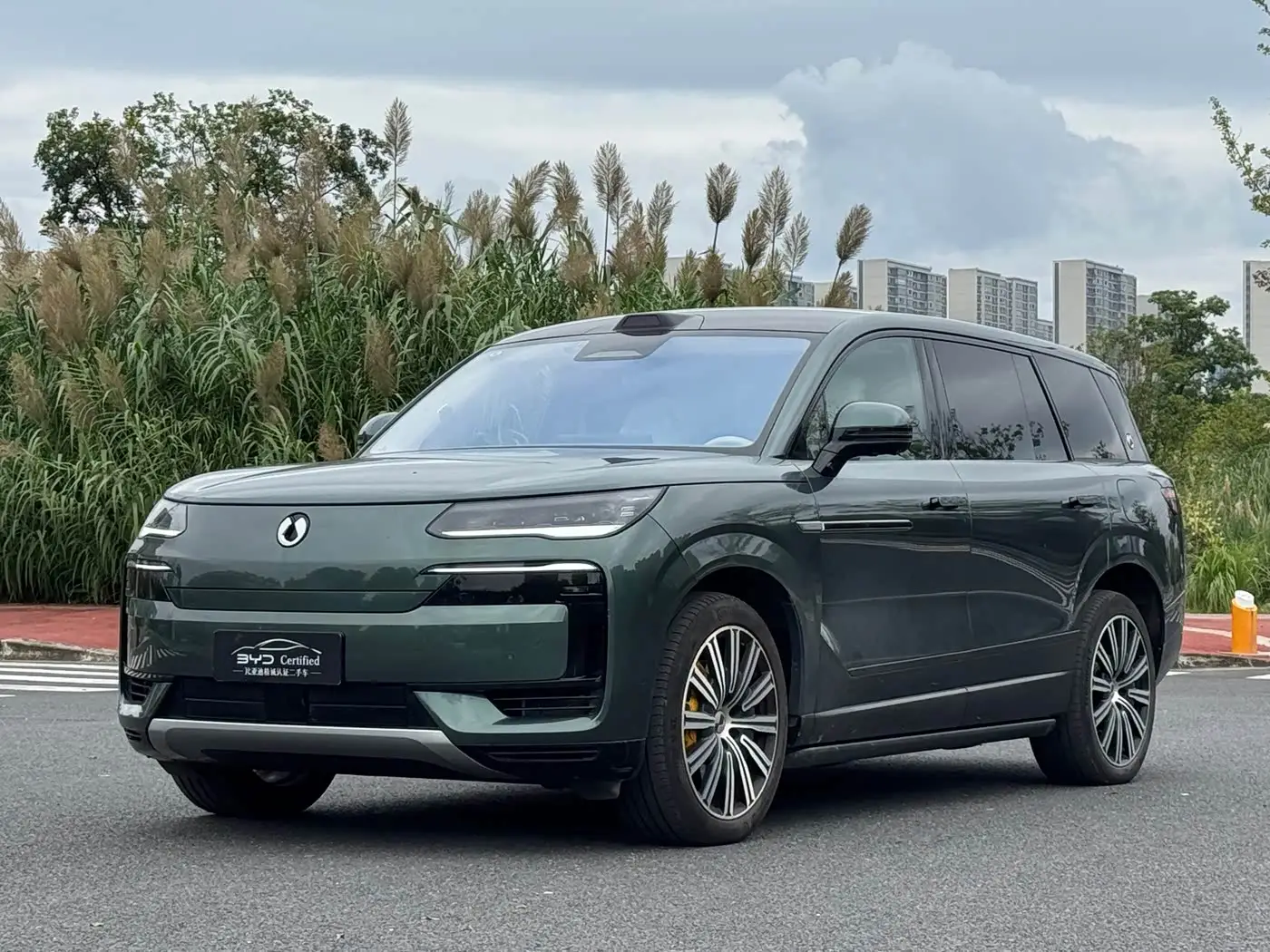 Denza N9, 2025