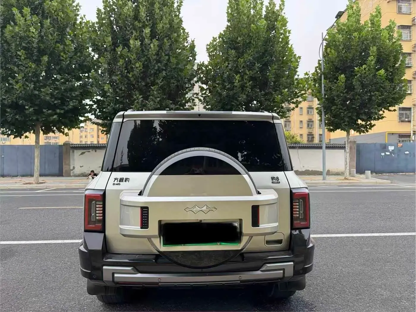 Fang Cheng Bao Leopard 8 2025 — Photo 8/9