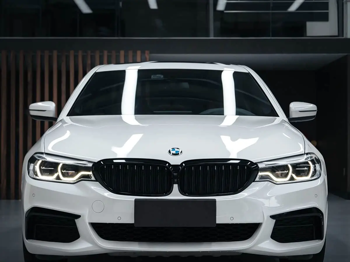 BMW 5 Series 2020 — Photo 2/20