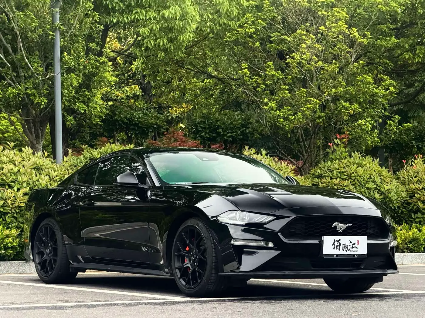 Ford Mustang 2019 — Photo 3/13