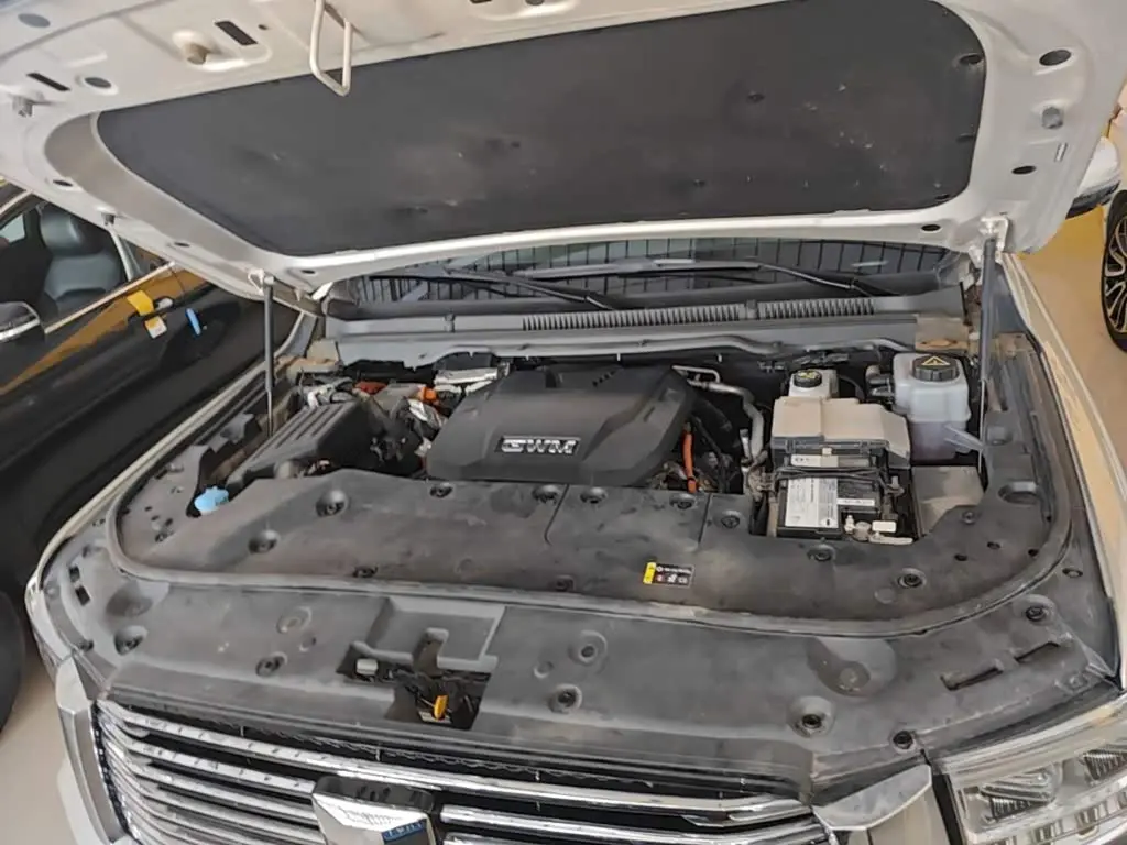 Tank 500 EV 2023 — Photo 20/20