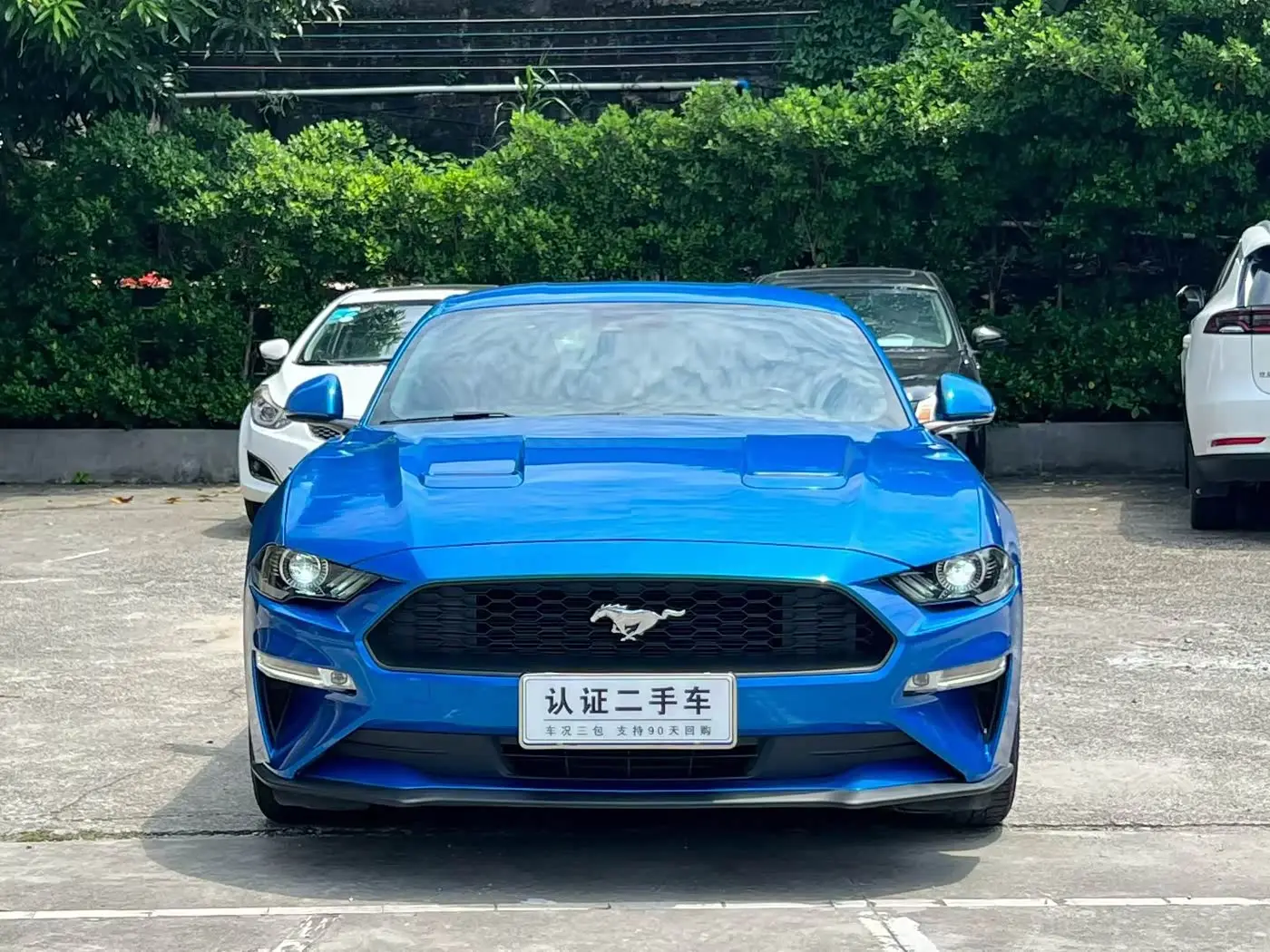 Ford Mustang 2021 — Фото 2/9