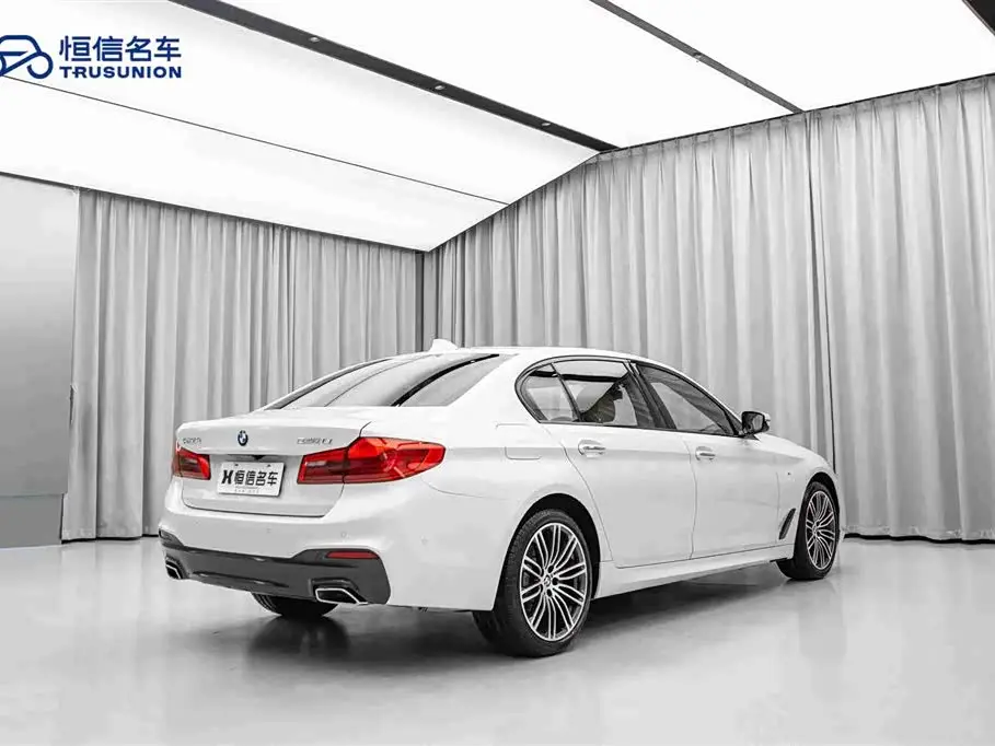 BMW 5 Series 2019 — Photo 5/20