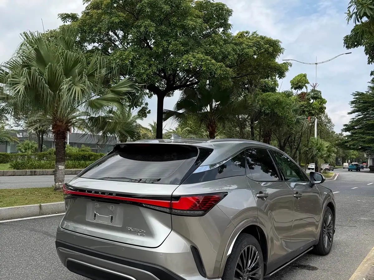 Lexus RX 2023 — Photo 8/10