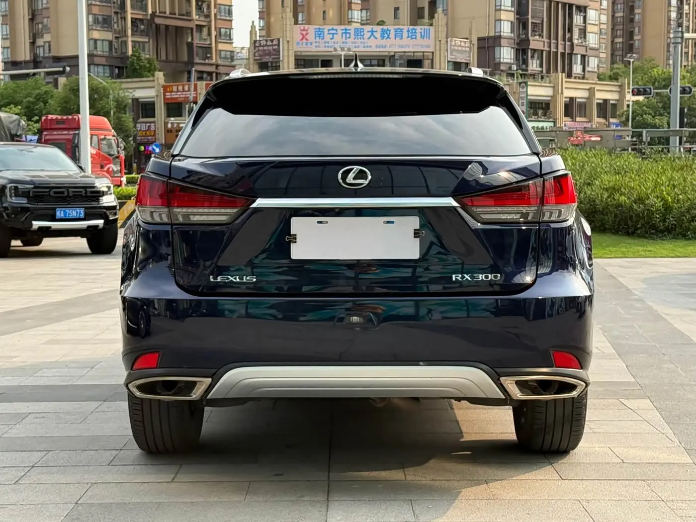 Lexus RX 2021 — Фото 6/20