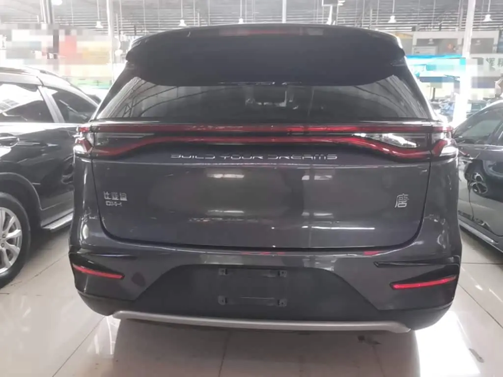BYD Tang New Energy 2023 — Photo 5/19