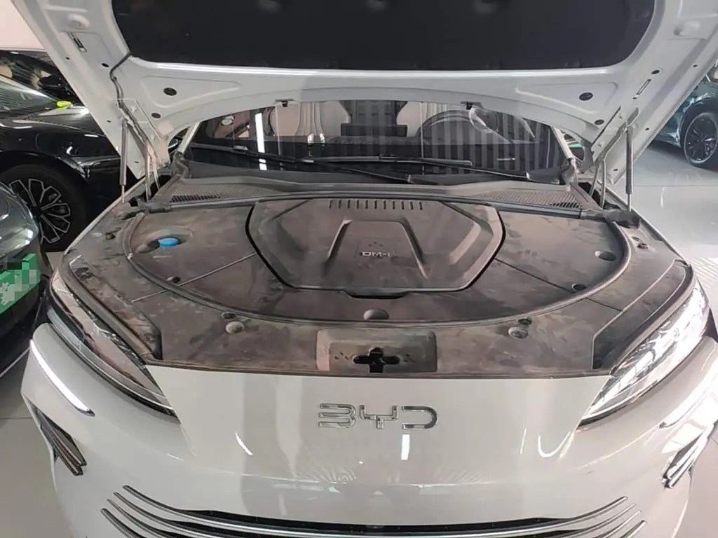 BYD Song PLUS PHEV 2024 — Photo 20/20
