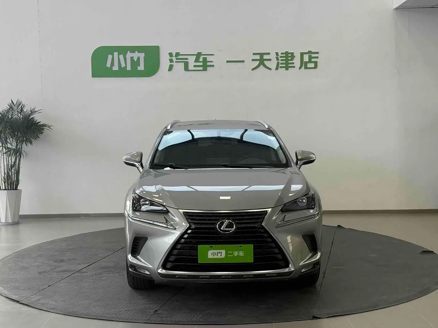 Lexus NX 2020 — Photo 5/20