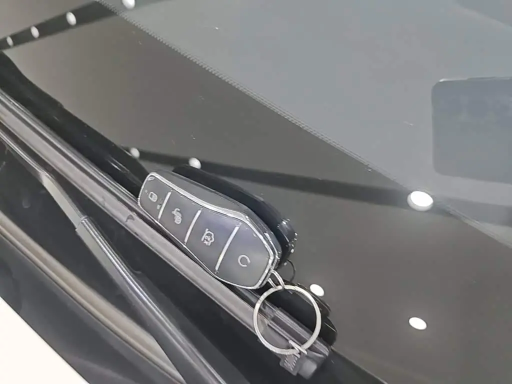 BYD Seal 06 New Energy 2025 — Photo 8/19