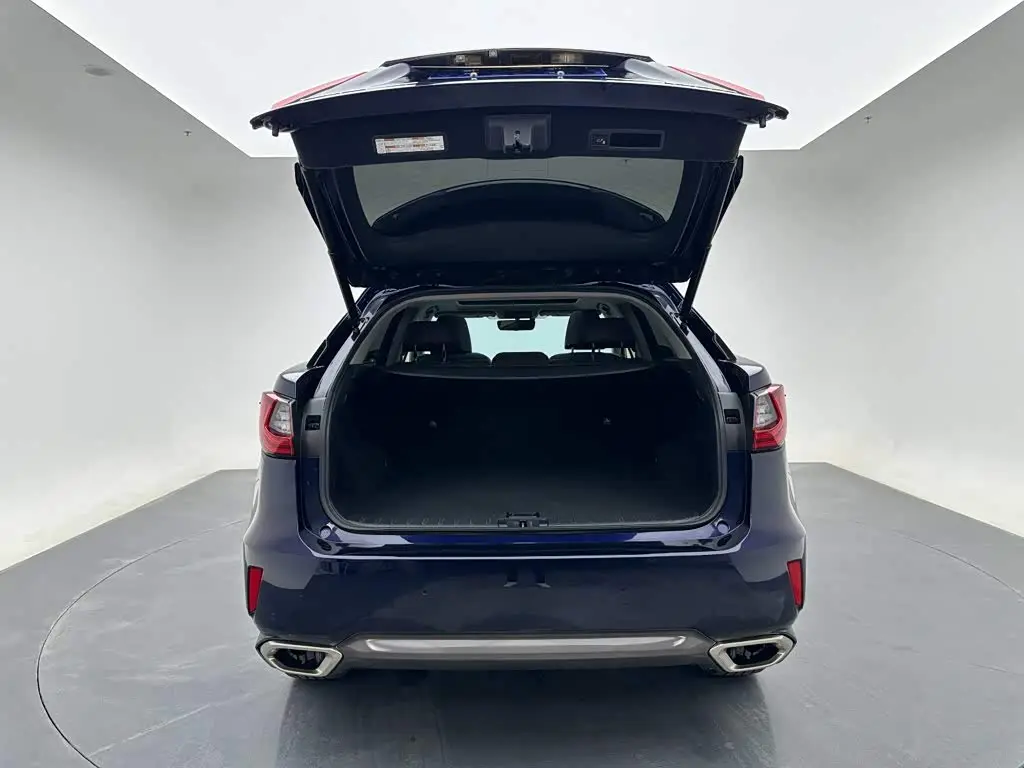 Lexus RX 2019 — Şəkil 20/20