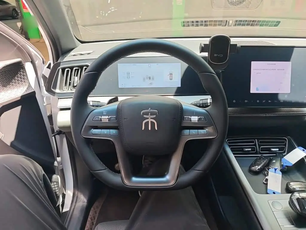 BYD Song Pro New Energy 2025 — Photo 11/20