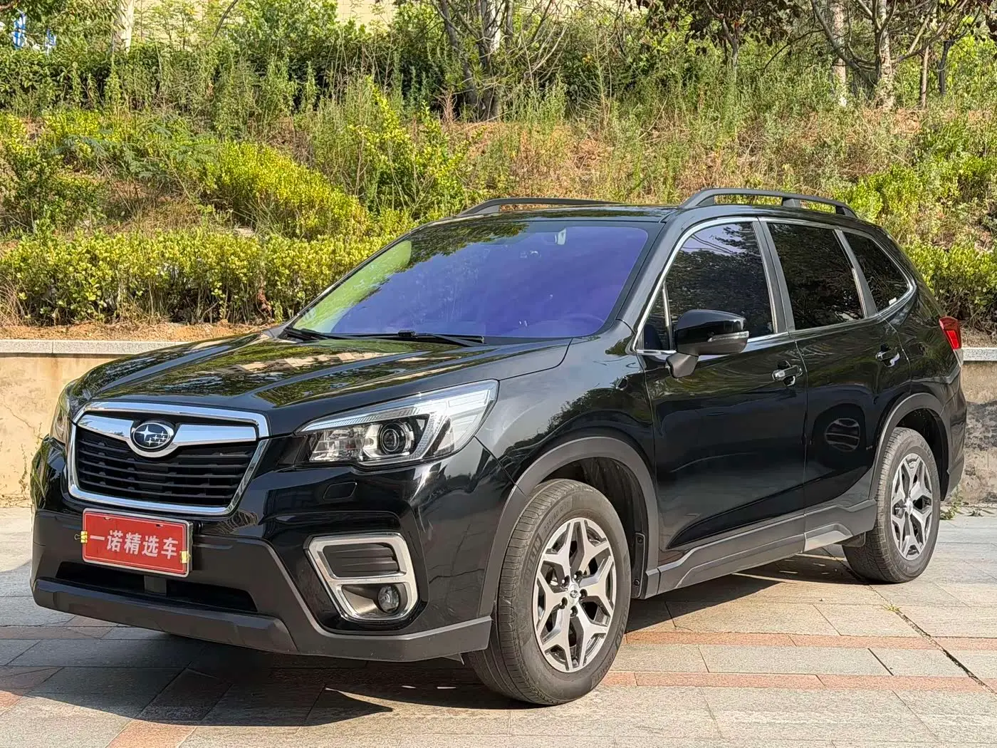 Subaru Forester 2019 — Фото 1/13