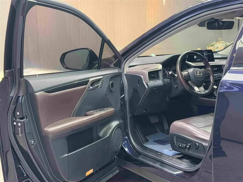 Lexus RX 2020 — Şəkil 4/20