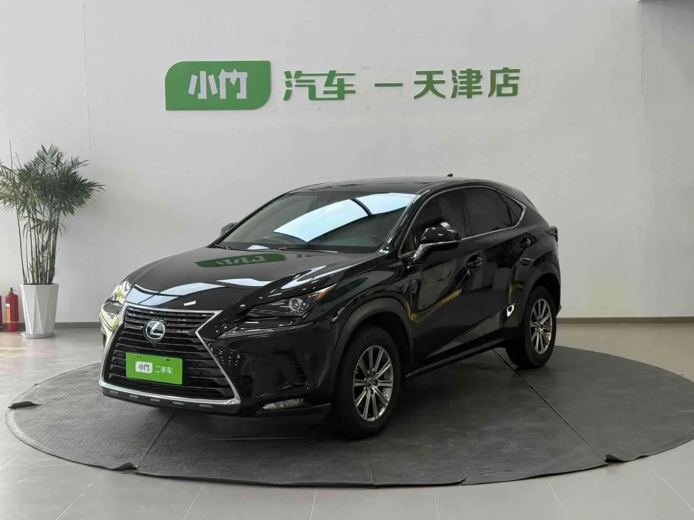 Lexus NX 2020 — Фото 1/20
