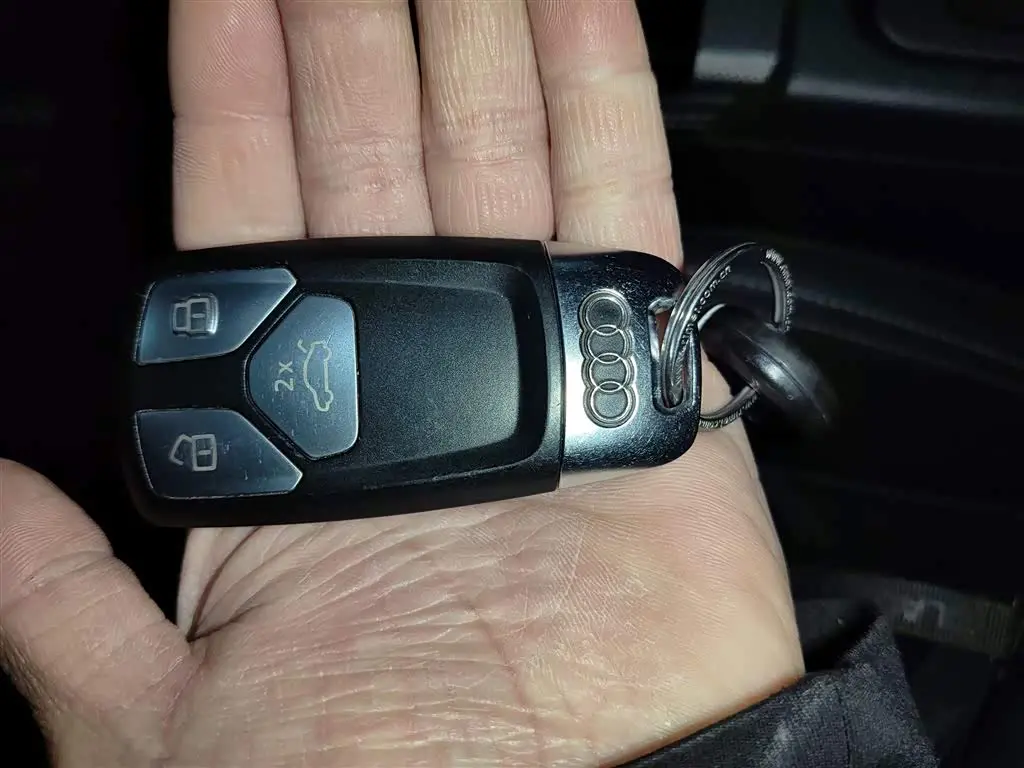 Audi Q5L 2021 — Şəkil 17/20