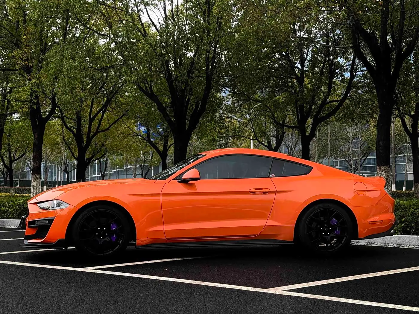 Ford Mustang 2020 — Фото 5/14