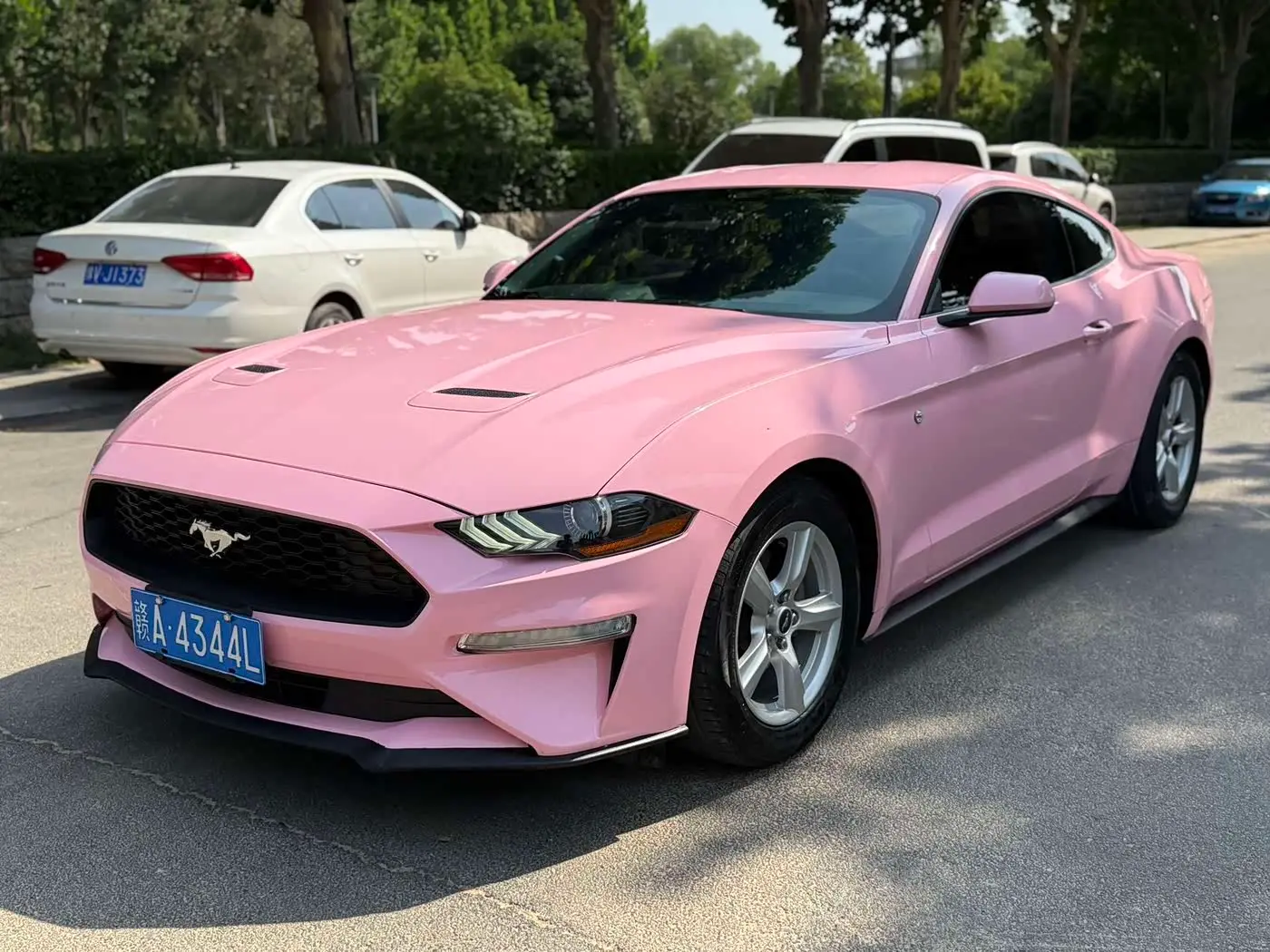 Ford Mustang 2019 — Photo 1/9