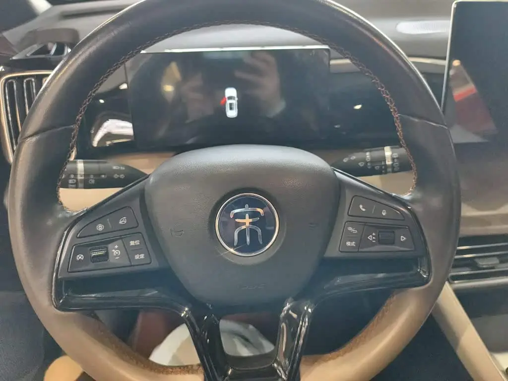 BYD Song Pro New Energy 2024 — Photo 5/19