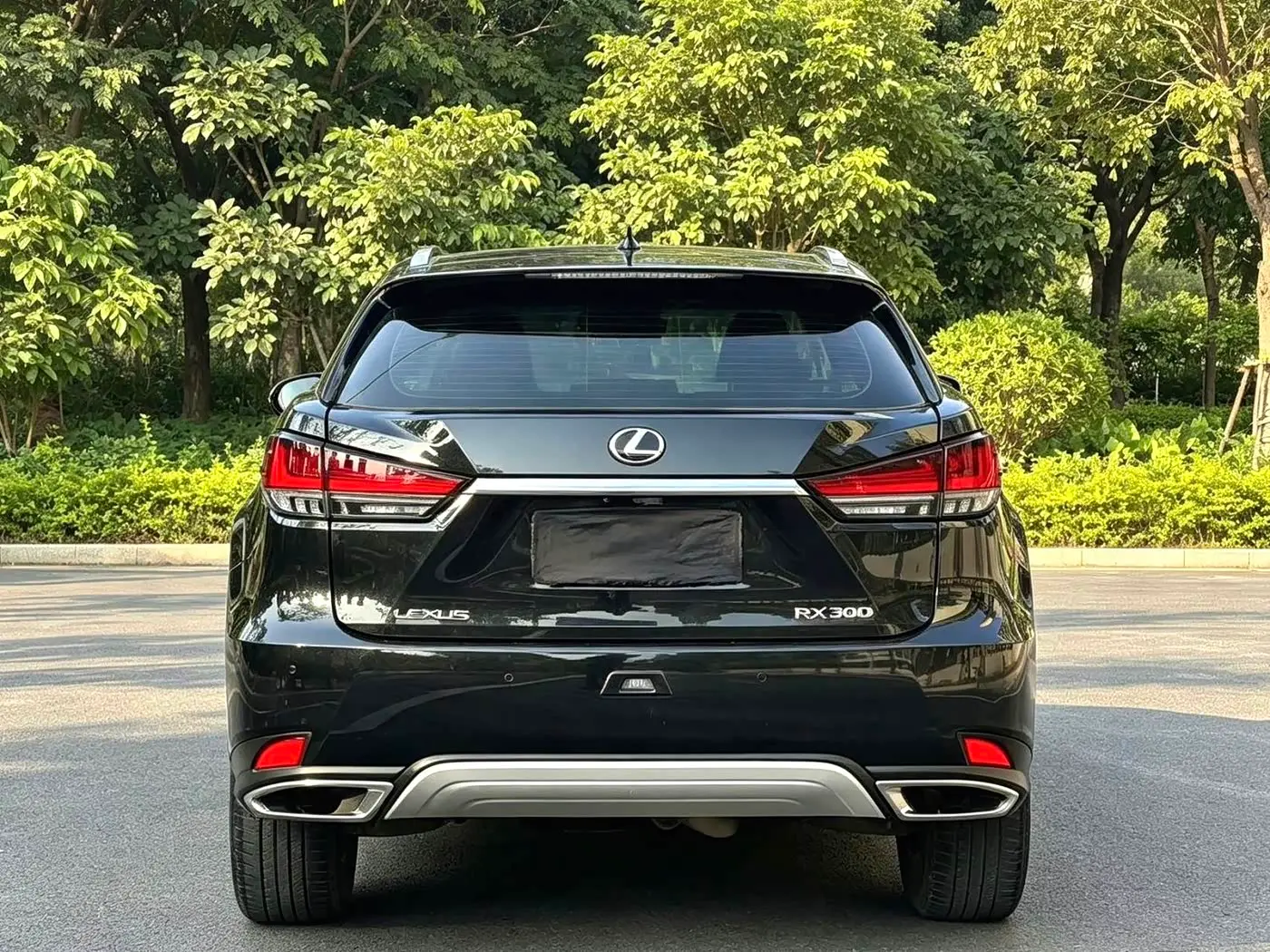 Lexus RX 2020 — Photo 8/9