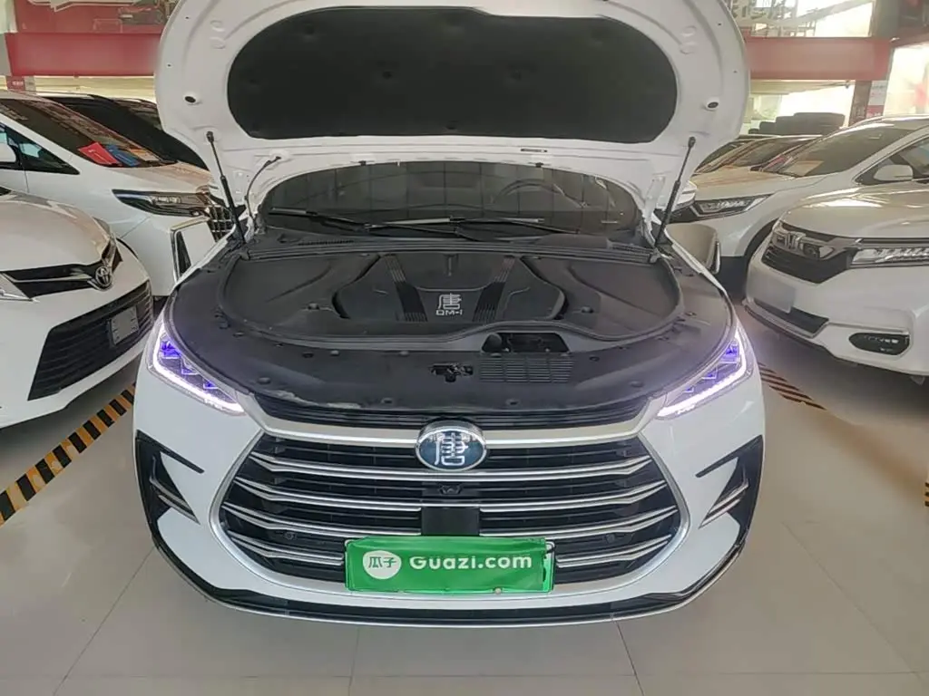 BYD Tang New Energy 2023 — Photo 19/19