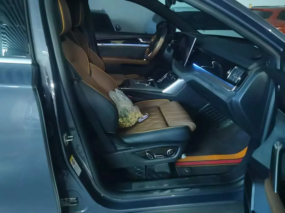 BYD Tang New Energy 2022 — Photo 8/15