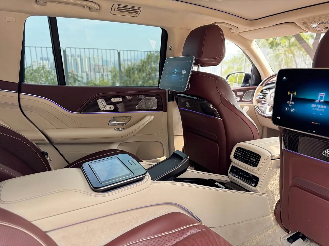 Mercedes-Benz Maybach GLS 2021 — Фото 18/20