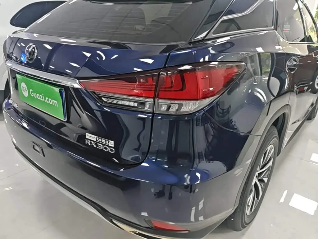 Lexus RX 2021 — Photo 8/20