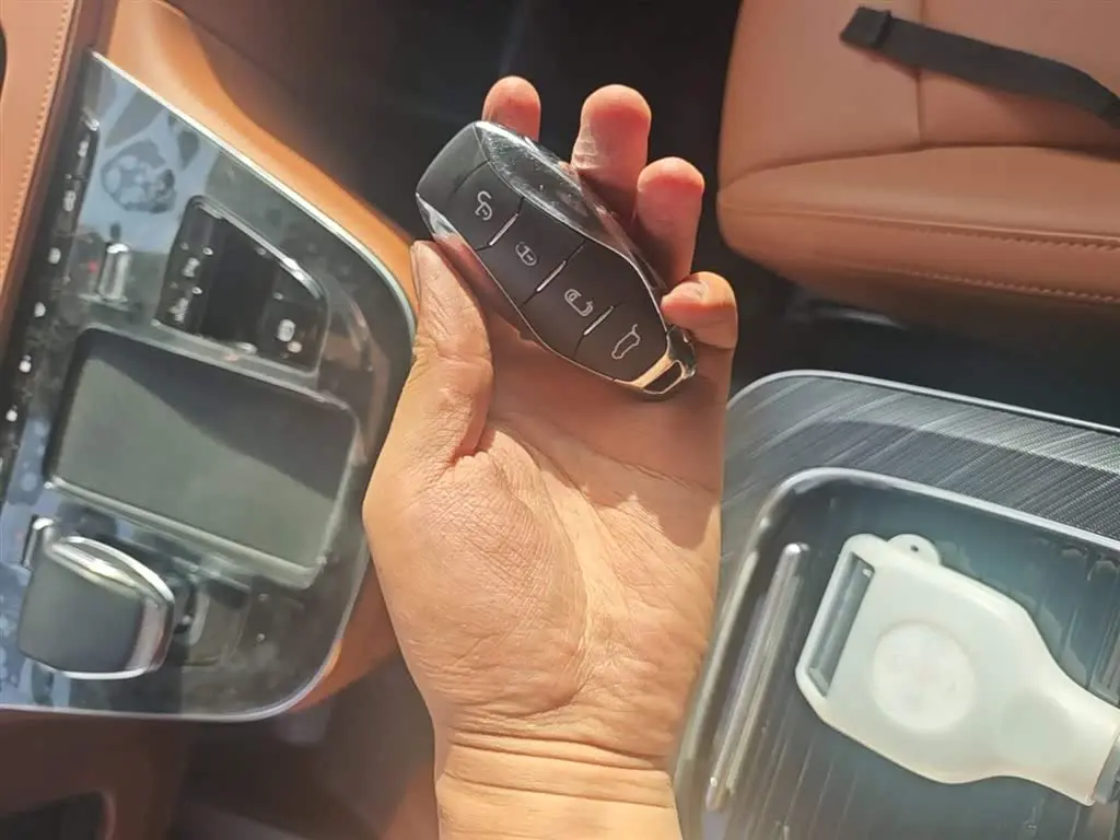 Hongqi HQ9 PHEV 2024 — Photo 9/20
