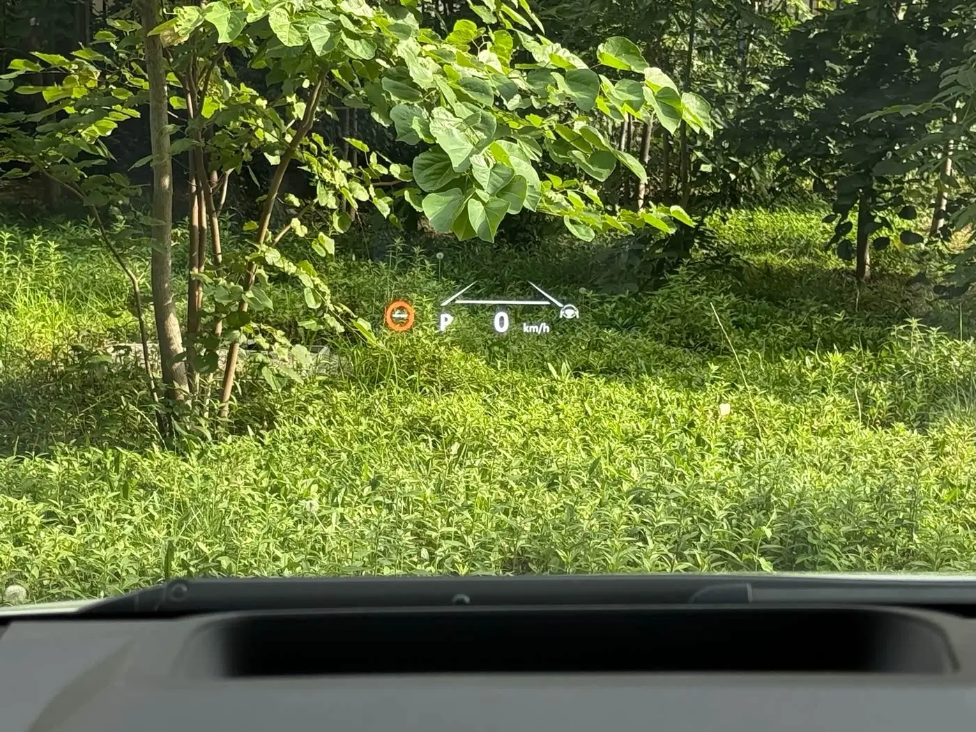 Toyota Alphard 2023 — Photo 16/17