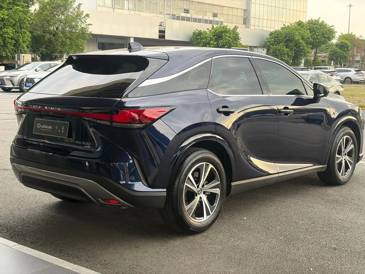 Lexus RX 2025 — Фото 7/10