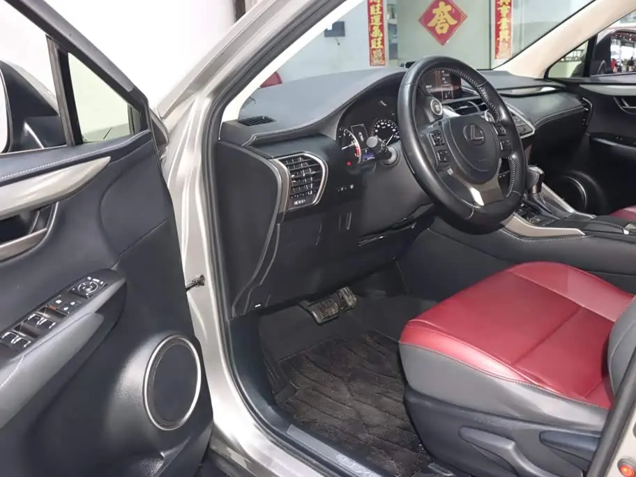 Lexus NX 2021 — Photo 9/19