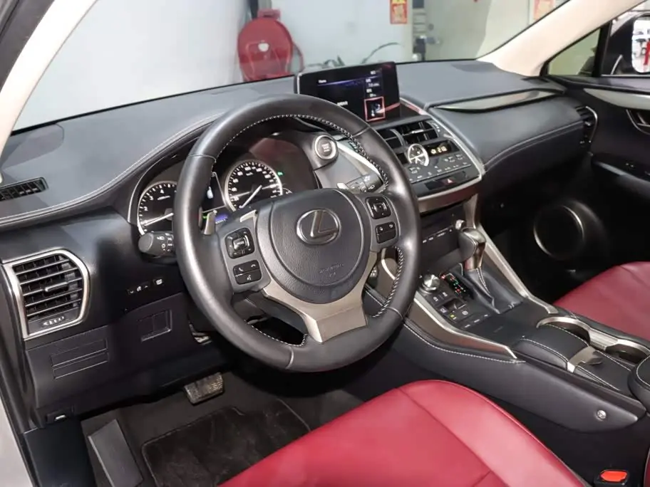 Lexus NX 2021 — Photo 10/19