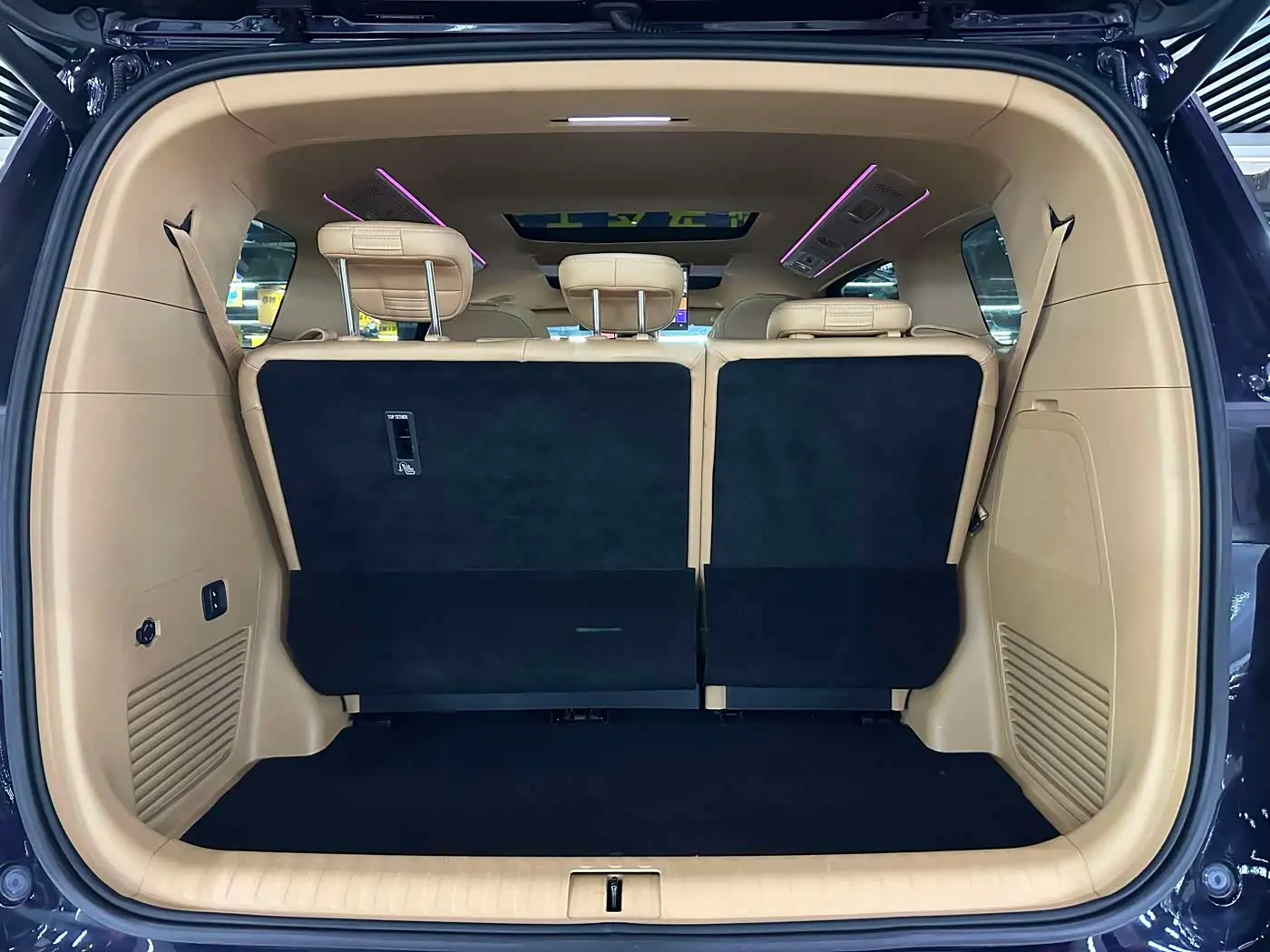 Voyah Auto Voyah Dreamer 2024 — Photo 9/10