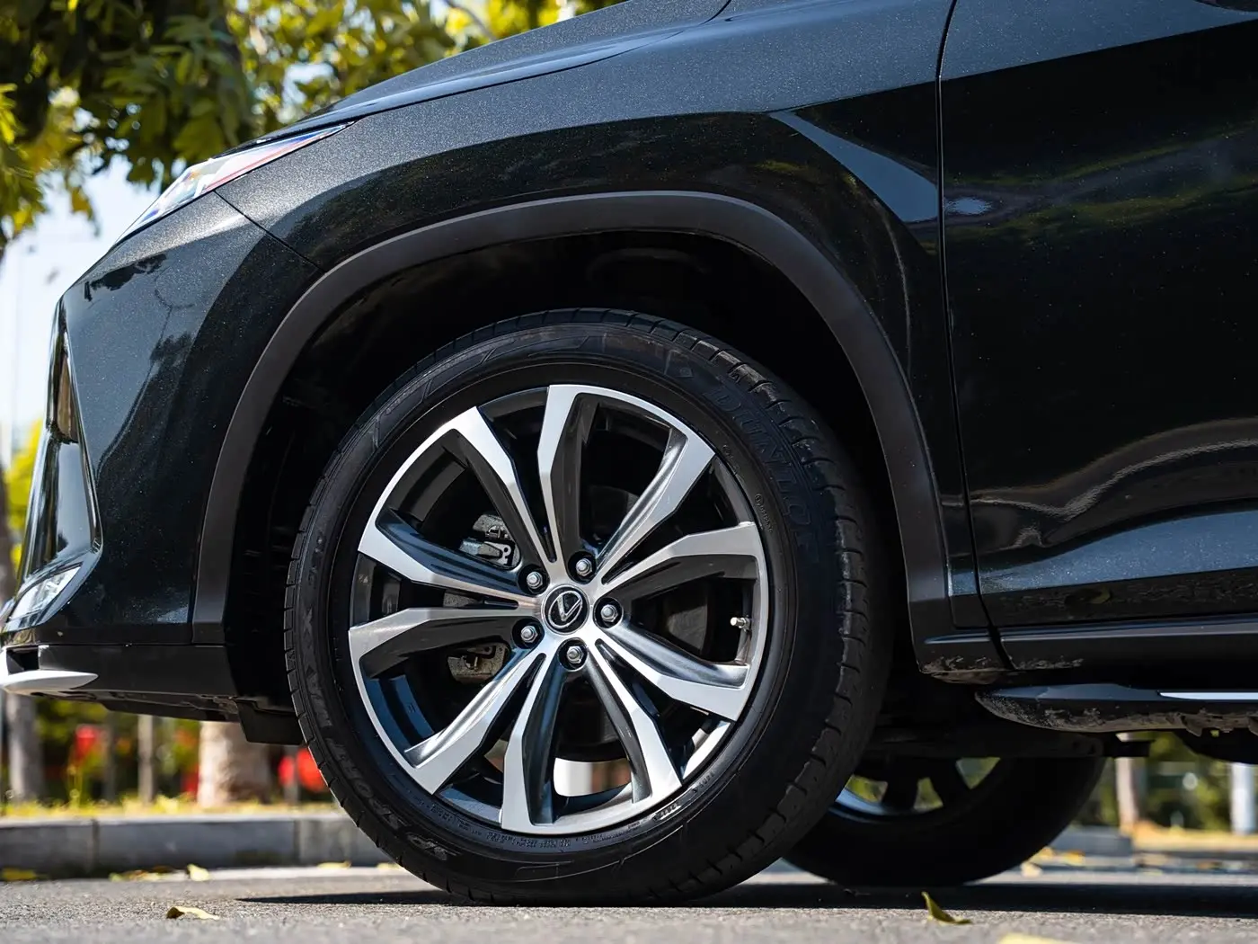 Lexus RX 2022 — Photo 8/20