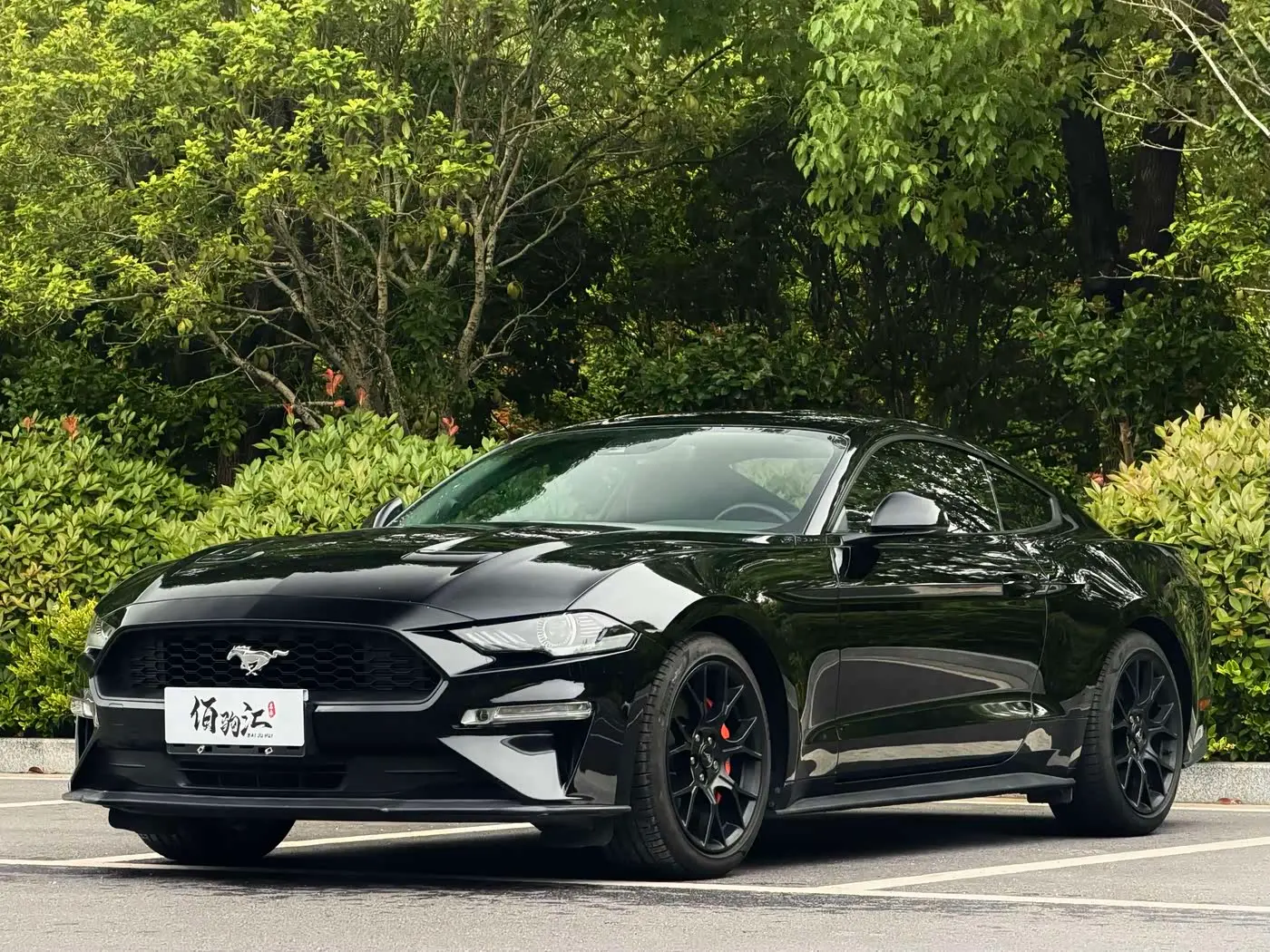Ford Mustang 2019 — Photo 1/13