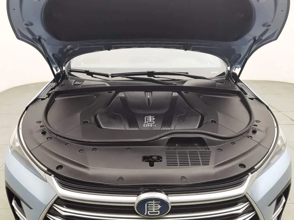 BYD Tang New Energy 2023 — Photo 6/20