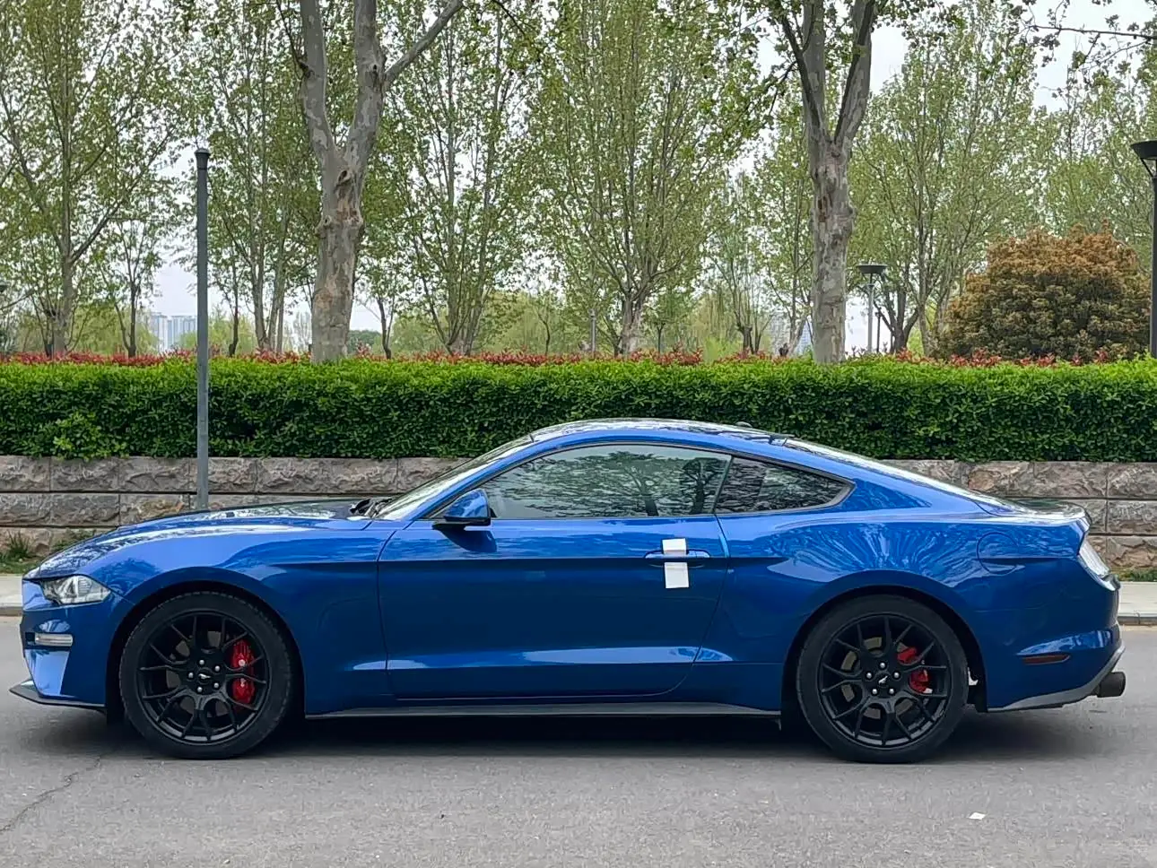 Ford Mustang 2019 — Photo 9/9