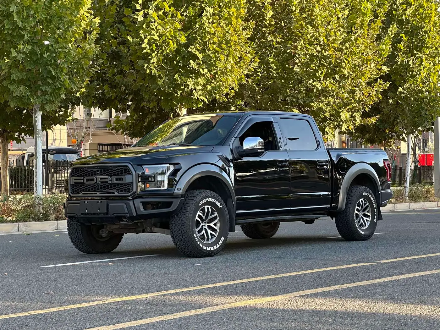 Ford F-150 Raptor 2017 — Фото 3/6