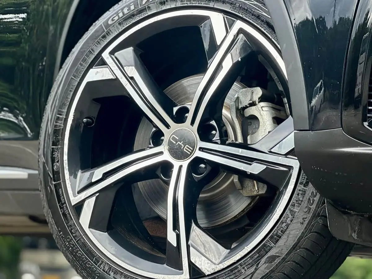 BYD Tang New Energy 2022 — Фото 17/19