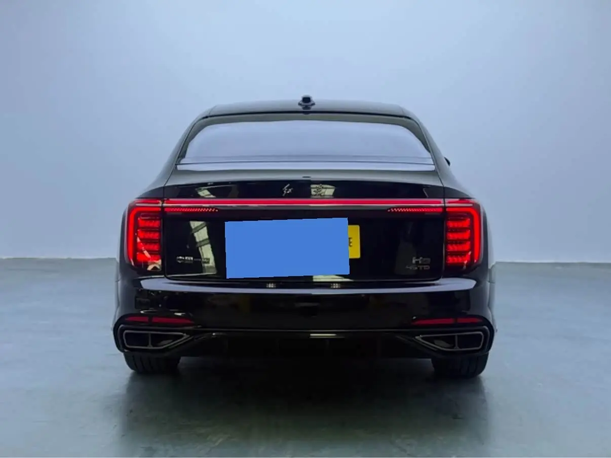 Hongqi H9 2024 — ფოტო 7/20